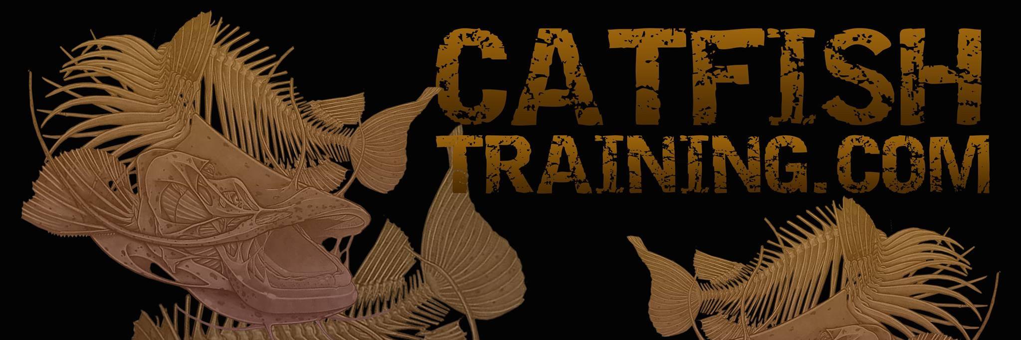 CatfishTraining's profile banner image