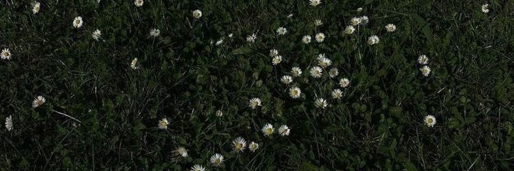 ´ tamink ♡ banner