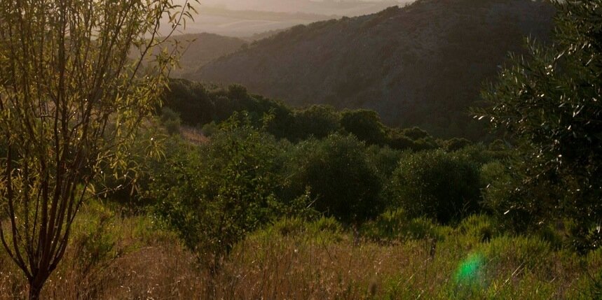 AgriLeMacchie's profile banner image
