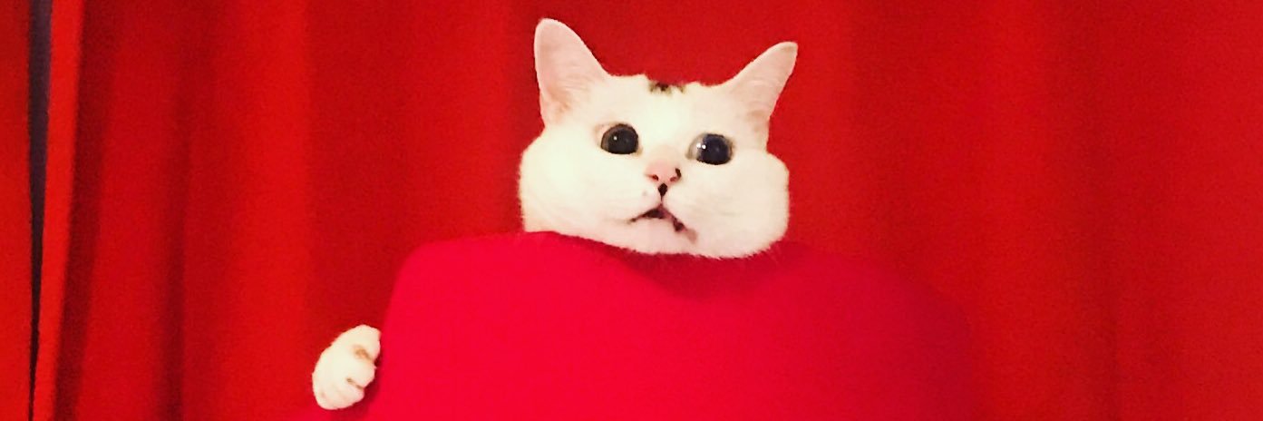ppppCQCQ's profile banner image