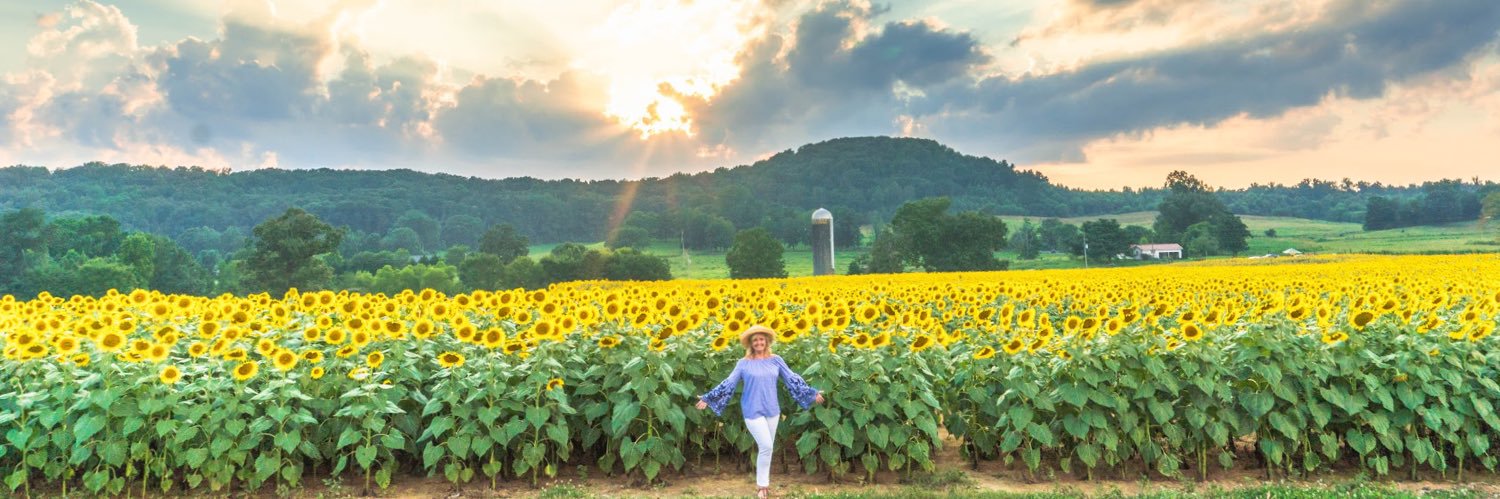 MaryTomJenkins's profile banner image