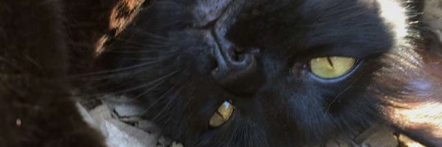 corbettc12's profile banner image