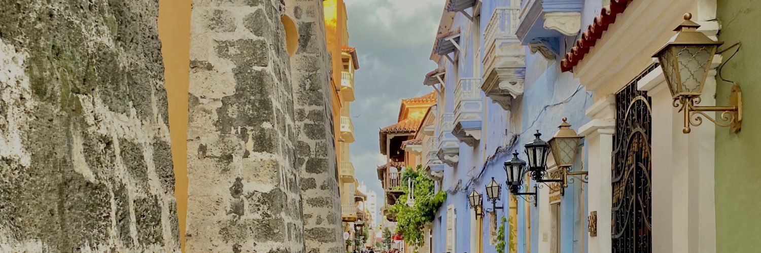 CamiPinoB's profile banner image