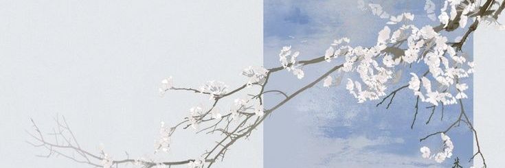 bezeroff's profile banner image