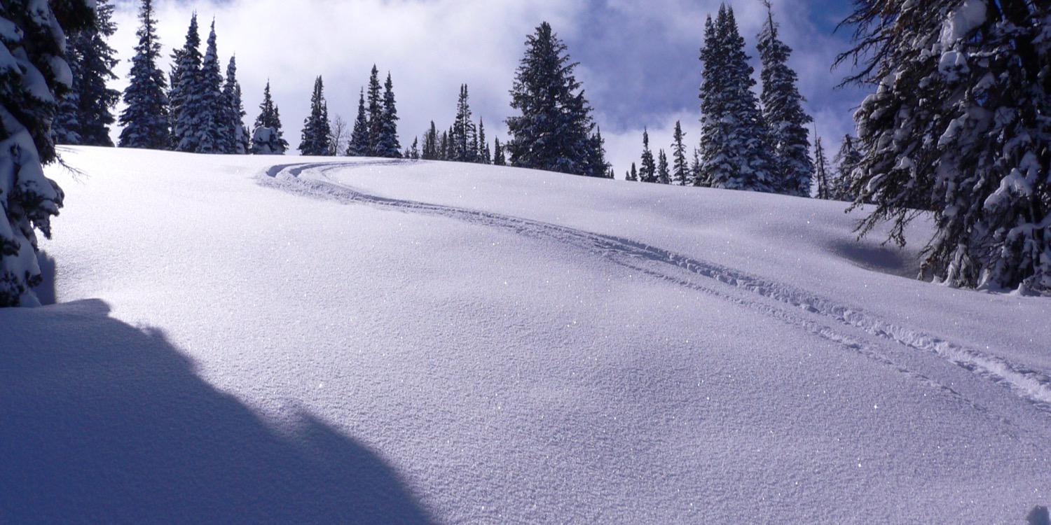 rrsski's profile banner image