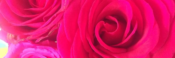 luciegoddard Profile Banner