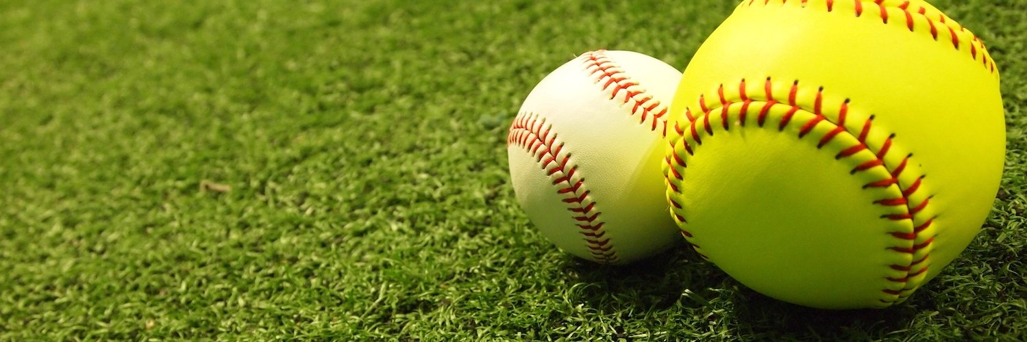 TeelsBaseball banner