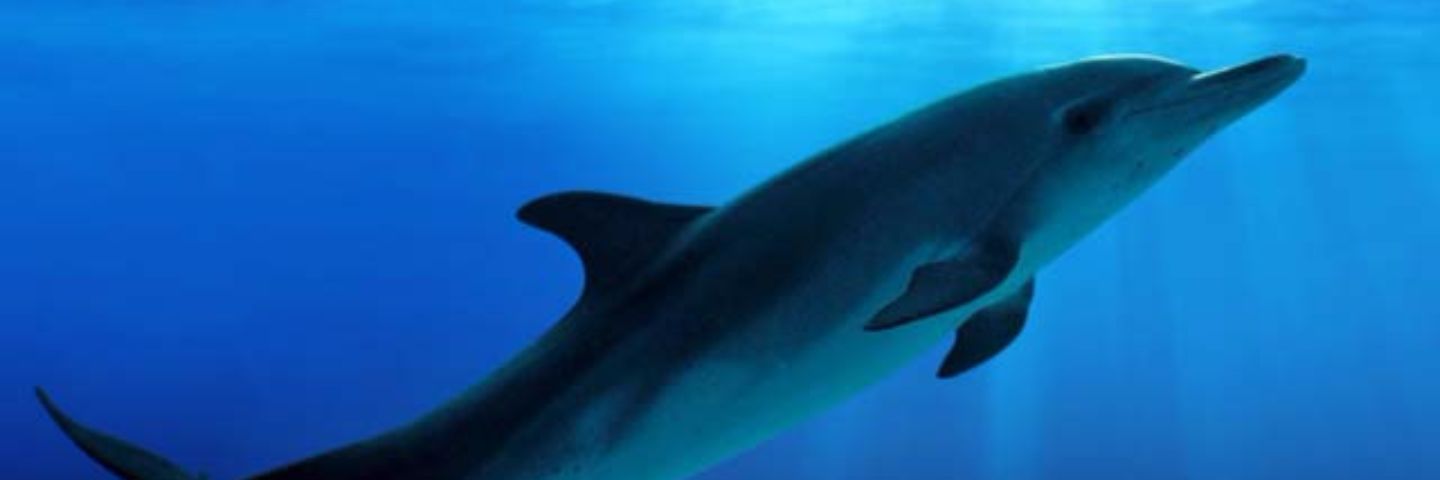 aklippies's profile banner image