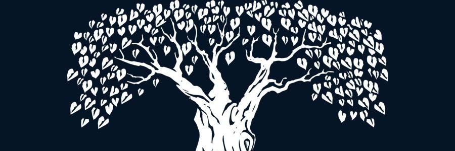 MonstadstsFay's profile banner image