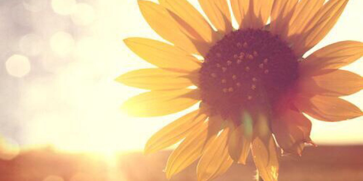 AlexDurity1's profile banner image