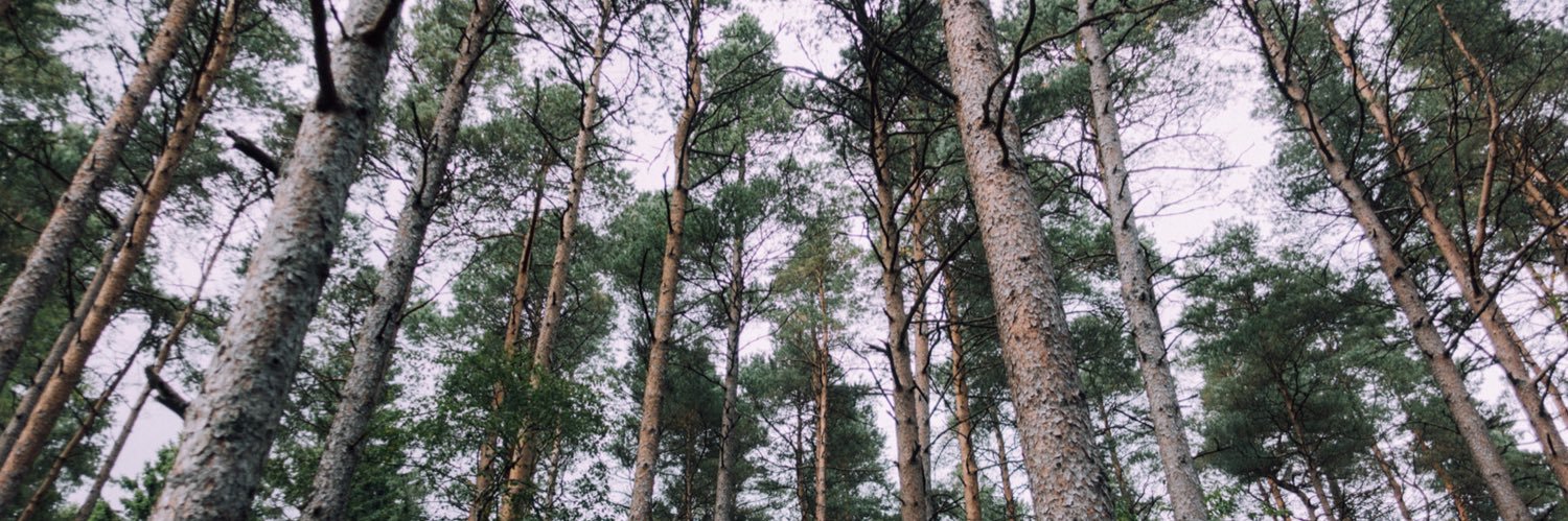 domddomm's profile banner image