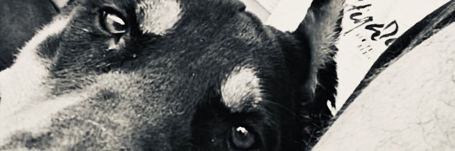 mustioncel's profile banner image
