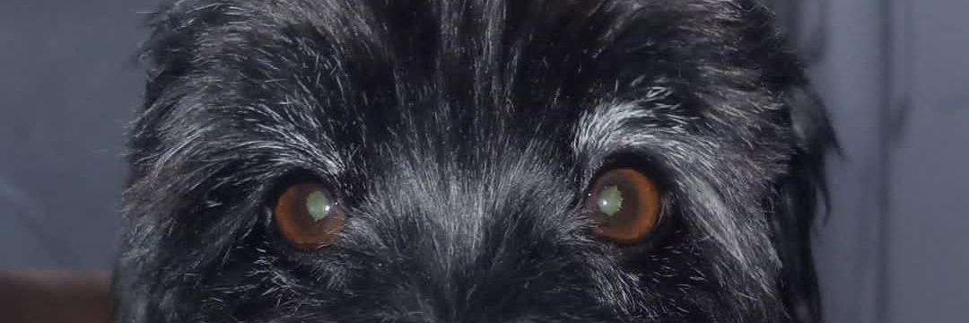 Micaelaaaa74's profile banner image