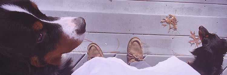 iceberg_Matty's profile banner image