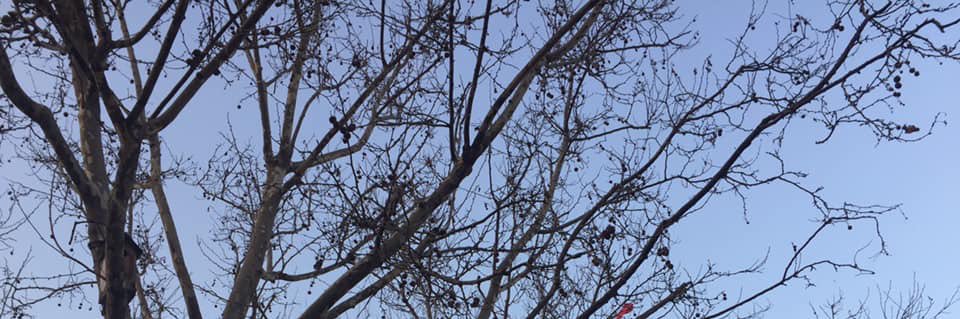 Reem_M57's profile banner image