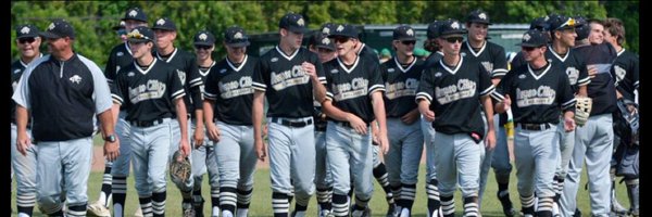 RCDOGSBASEBALL Profile Banner