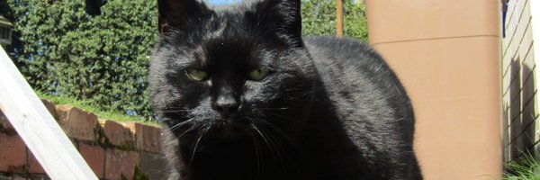 SeanJFenton Profile Banner