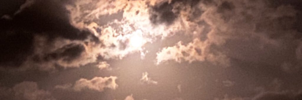 RT487's profile banner image