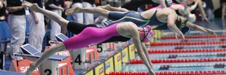 Pippa Shuttleworth banner