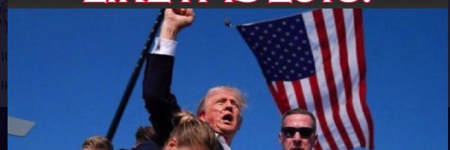CurtisthePatriot🇺🇸🎉 banner