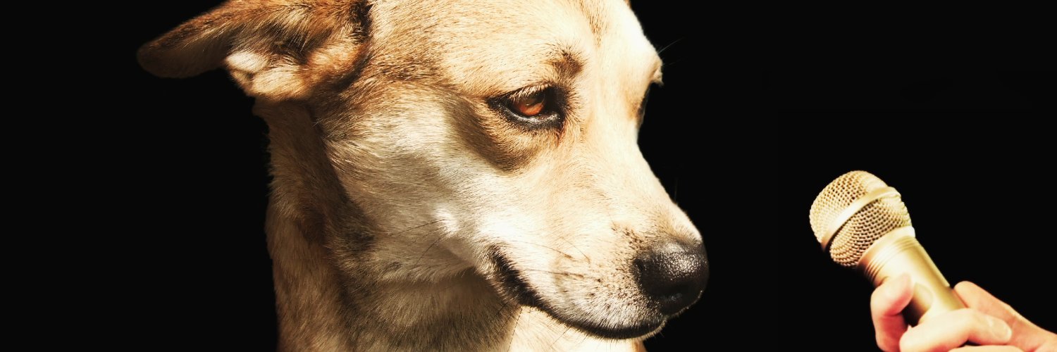 NYSAPF's profile banner image