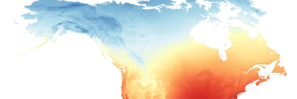 Caitlin J Campbell banner