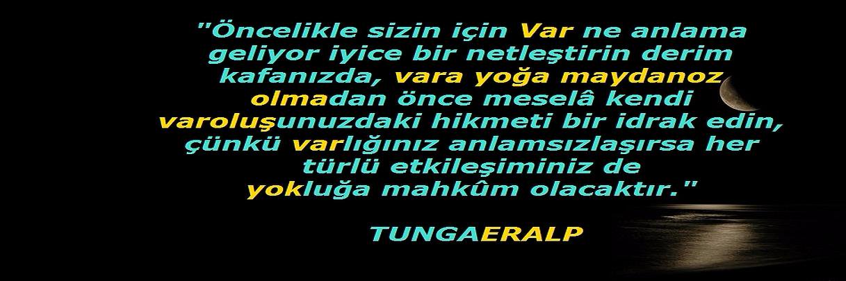 TUNGAERALP's profile banner image