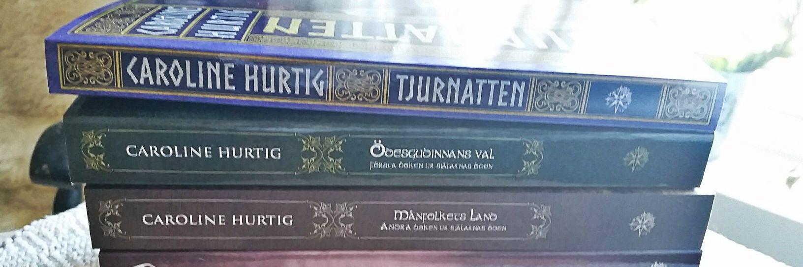 linhurtig's profile banner image