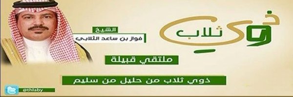 thlaby Profile Banner