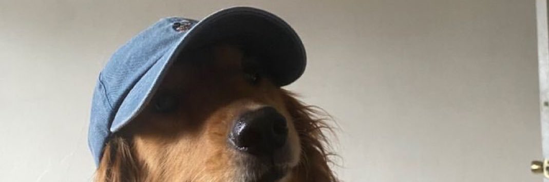 diangelo98's profile banner image