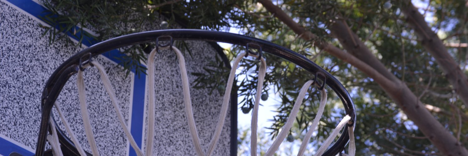 bballvines_'s profile banner image