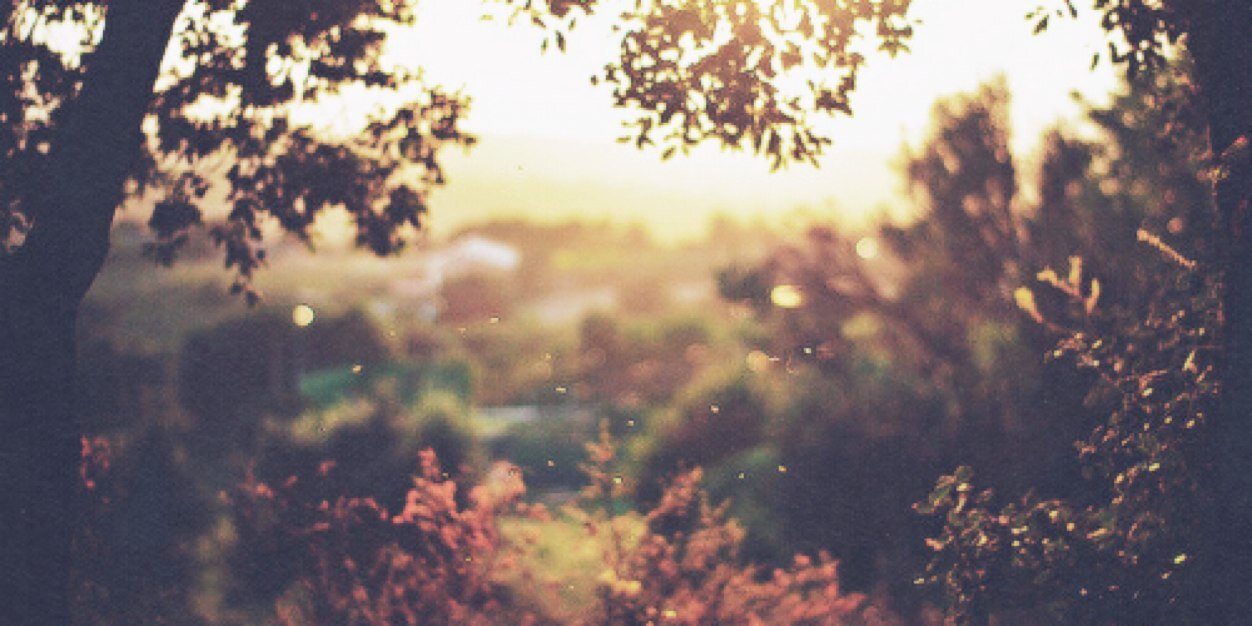 ZSwaggerFaux's profile banner image