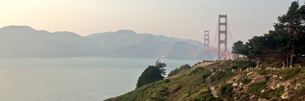 eviedanforth's profile banner image