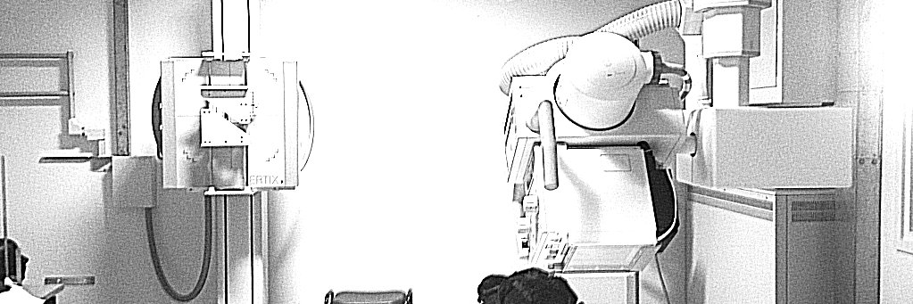 olgapalmer_'s profile banner image