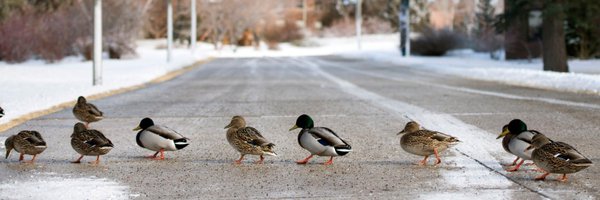 bozchron Profile Banner