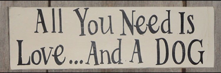 MrsRachelSmyth's profile banner image