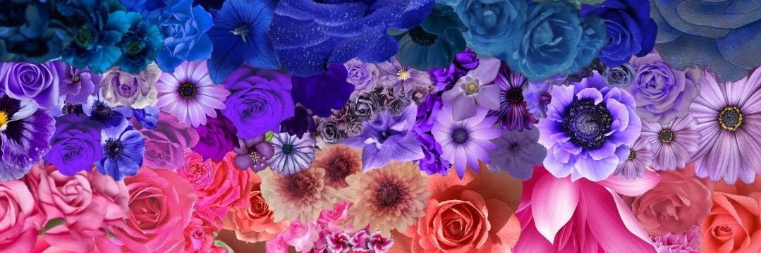 KelsyC's profile banner image