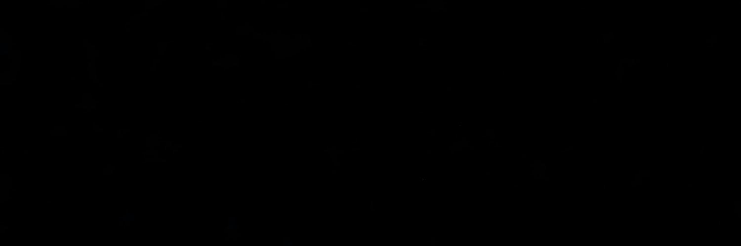 paidmoe's profile banner image