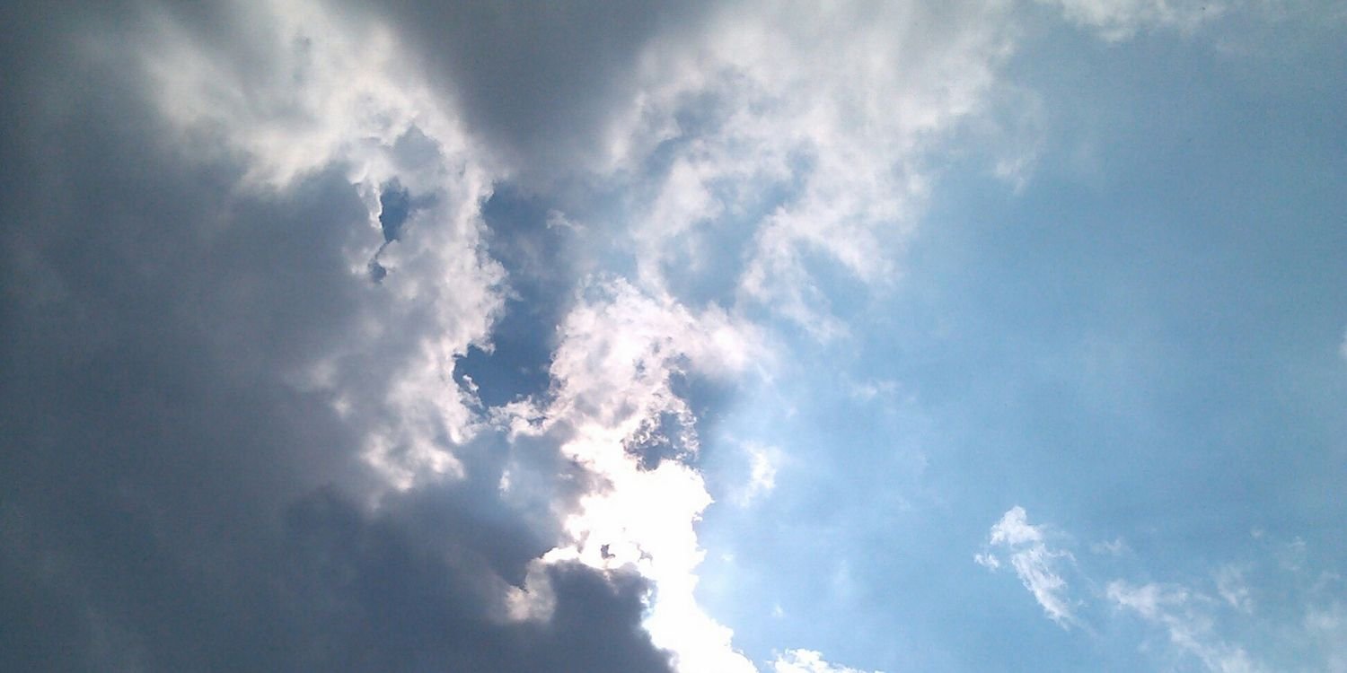 EmilyJanzow's profile banner image