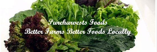 PUREHARVESTS's profile banner image