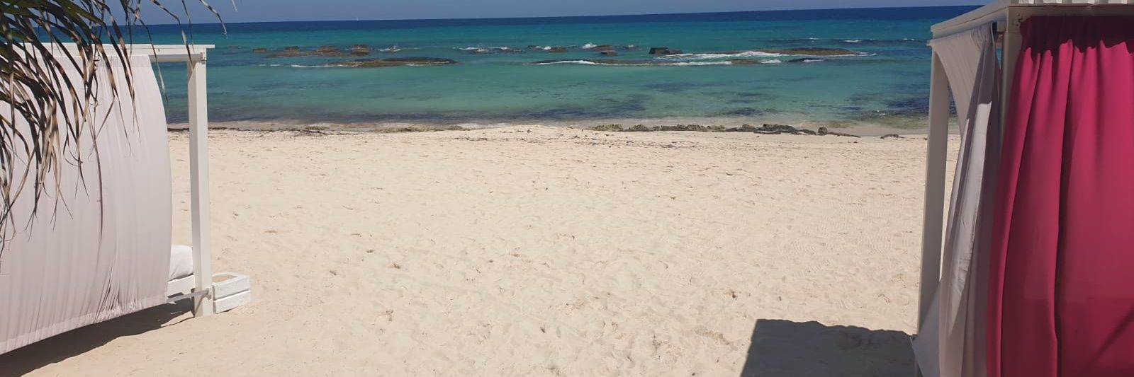 Angeline Smith 🇺🇦 banner