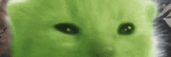 Springgy's profile banner image