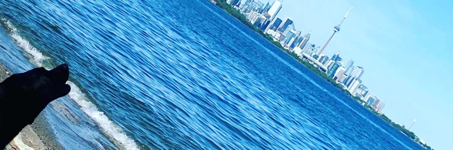 TorontoREBroker's profile banner image