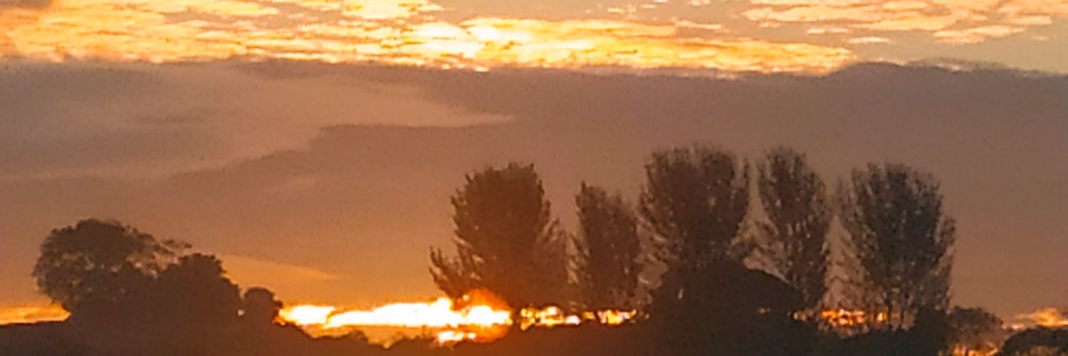 AL1469's profile banner image