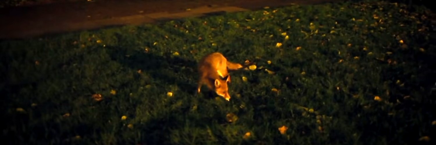Alberto del Real banner