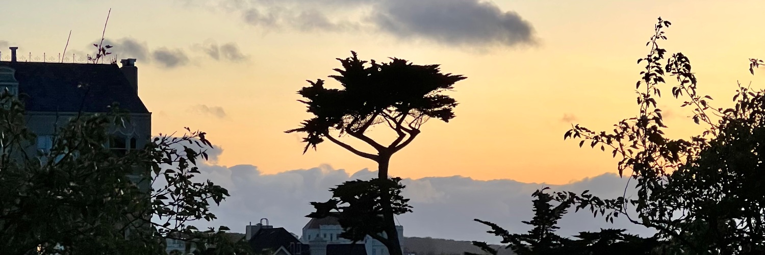 ndrewOC's profile banner image