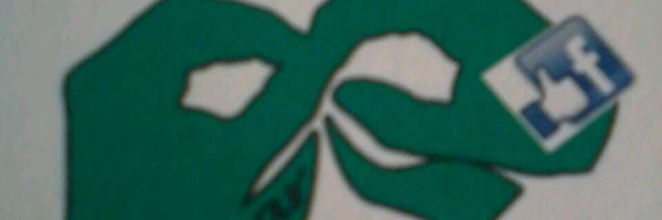 Lazarcomplement's profile banner image