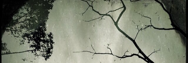lethe_k's profile banner image