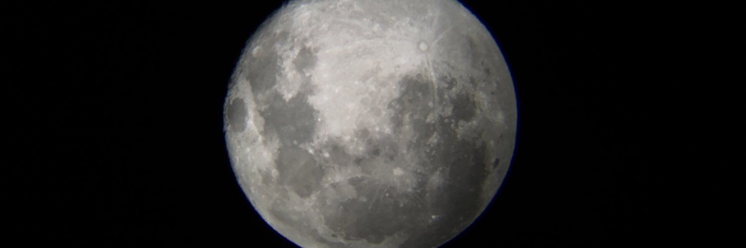 paolavf99's profile banner image
