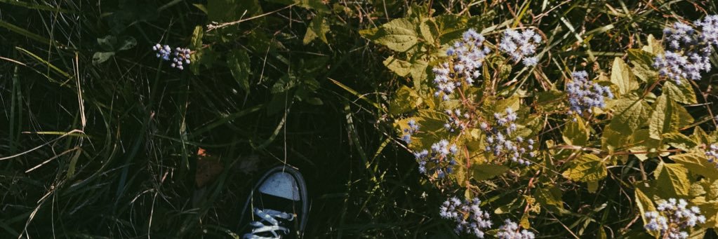 MAL_ibuu's profile banner image